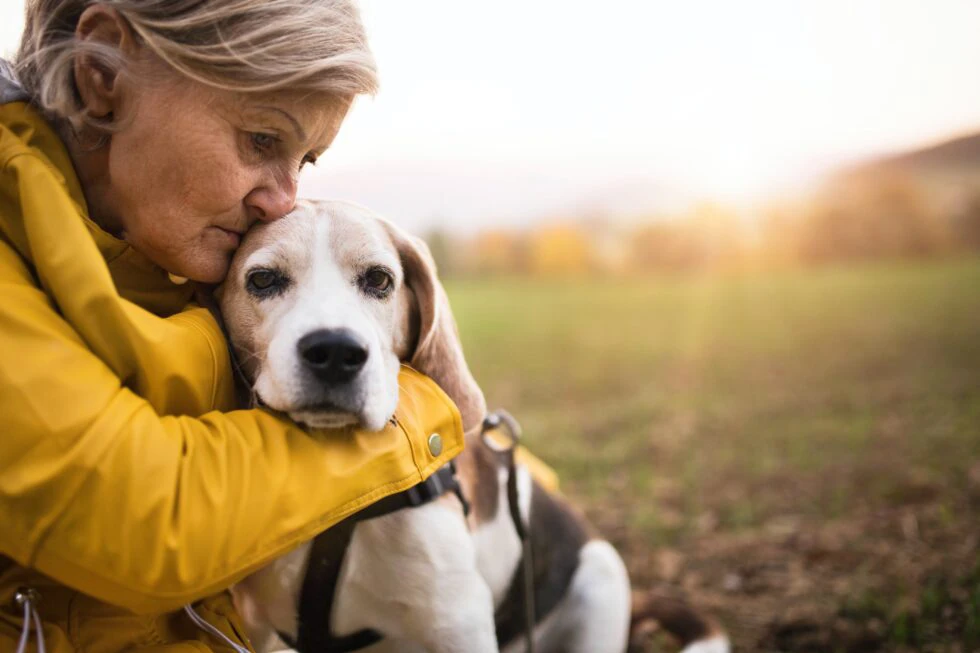 Why Adopting a Senior Pet is the Ultimate Act of Compassion