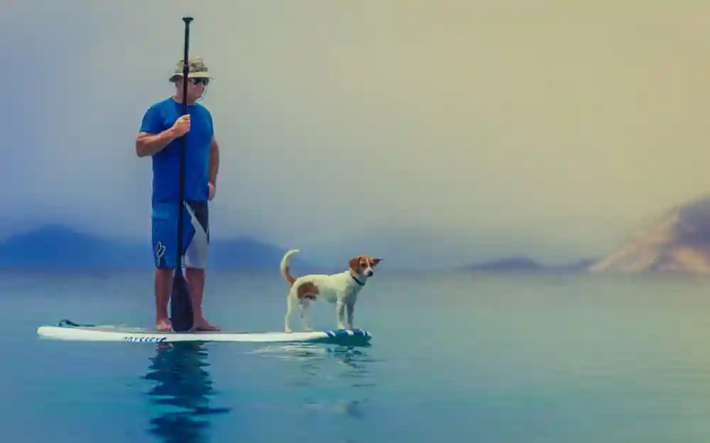 Exciting New Year’s Resolutions For Your Pet
