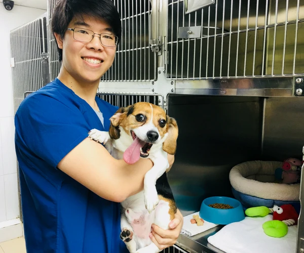 When Should You Consider Boarding Your Pet in Doral?