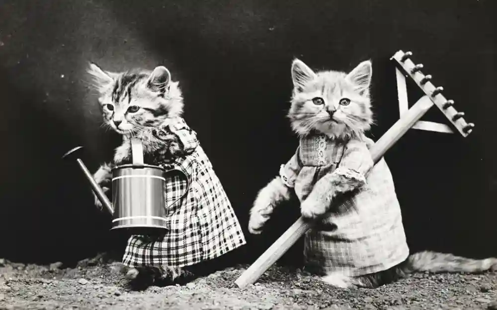Halloween Pet Safety Tips For Doral, Florida