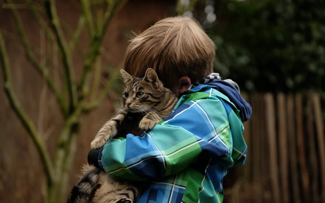 Pet Insurance: What You Need to Know