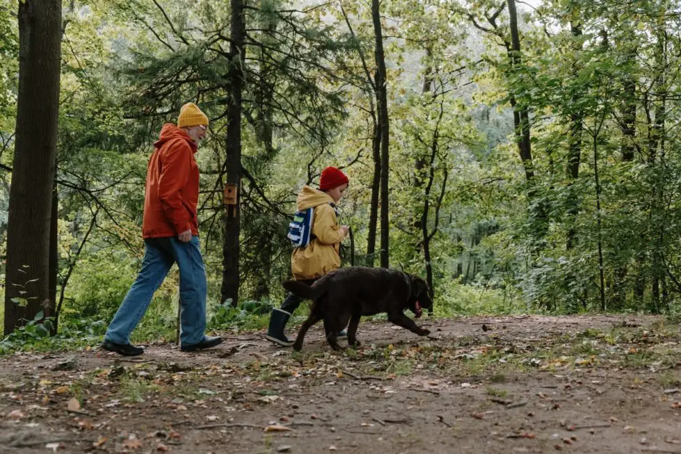 The Best Ways to Safely Handle Ticks When Hiking with Your Pet
