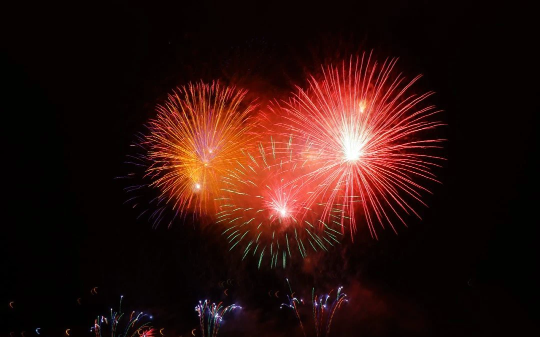 Keeping Your Pet Safe and Calm on The Fourth of July