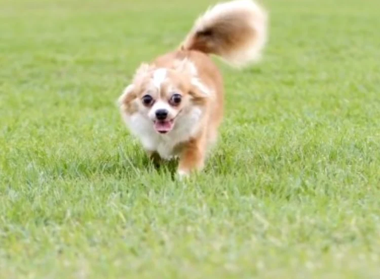 Slider 1