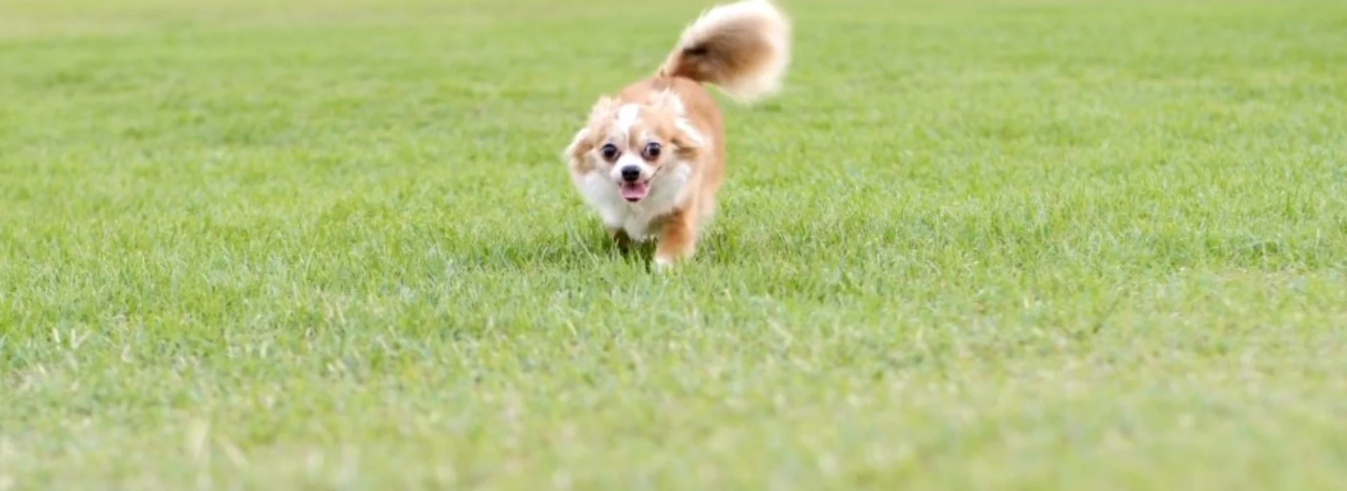 Slider 1