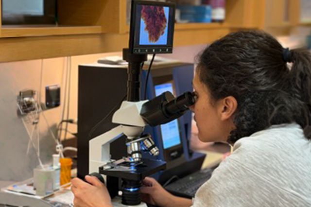 Ultrasounds, Electrocardiograms, CT Scans & In-House Laboratory