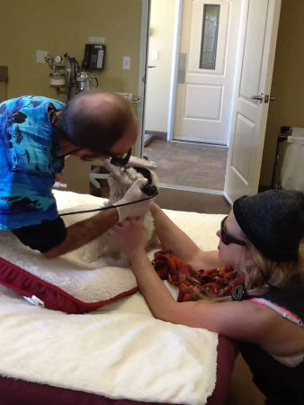 Laser Therapy