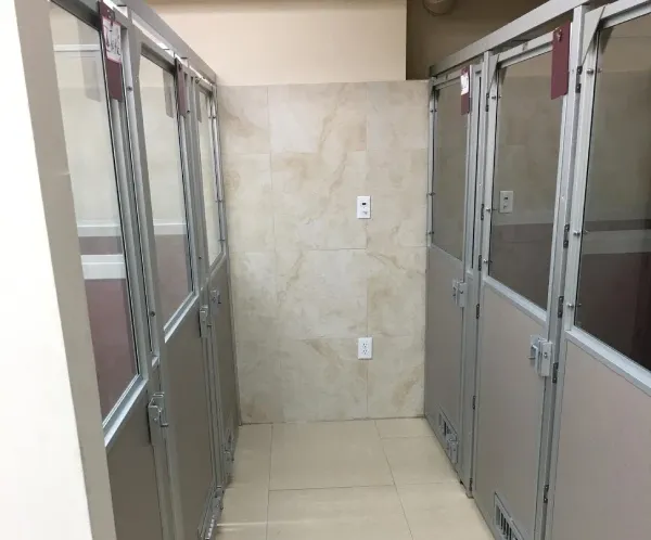 Pet boarding in Doral provides peace of mind during travel, emergencies, or home disruptions