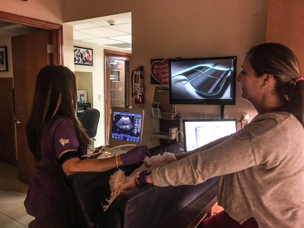 Ultrasounds, Electrocardiograms, CT Scans, and In-House Laboratory
