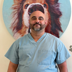John Inside the exam room, a veterinarian from The Pet Care Clinic of Doral comforts a calm dog.